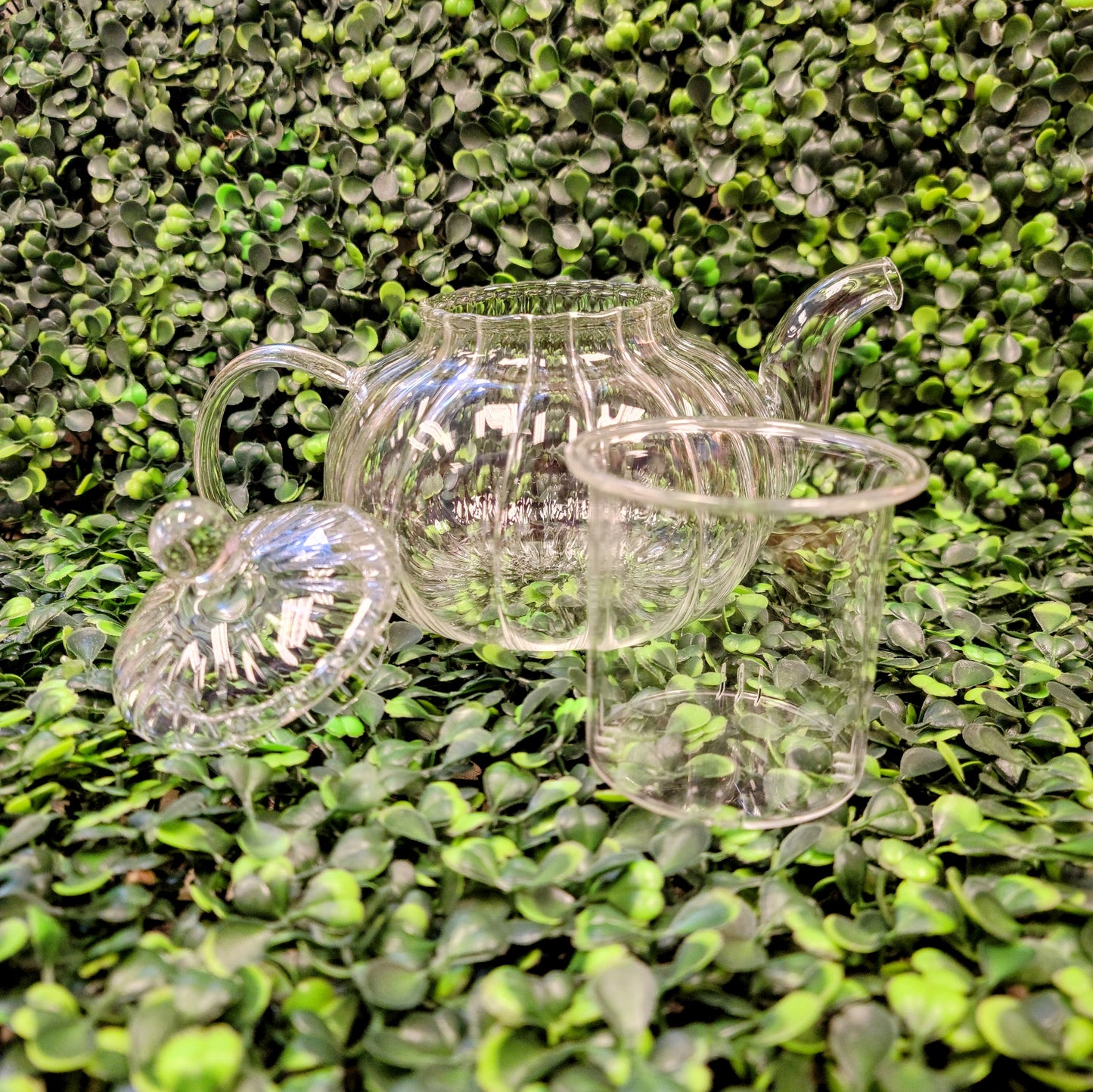 Glass Tea Pot With Infuser