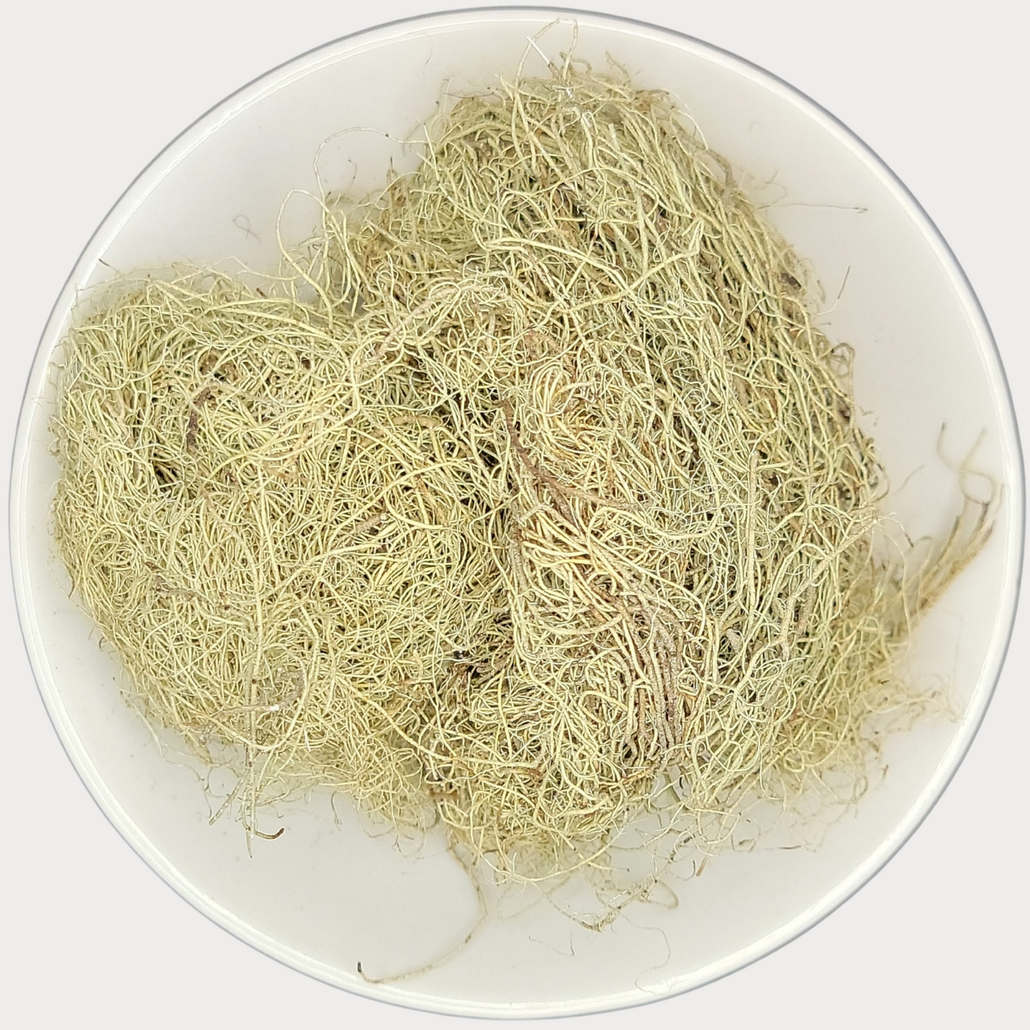 Usnea