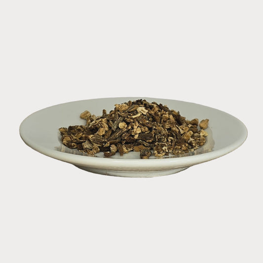 Angelica Root