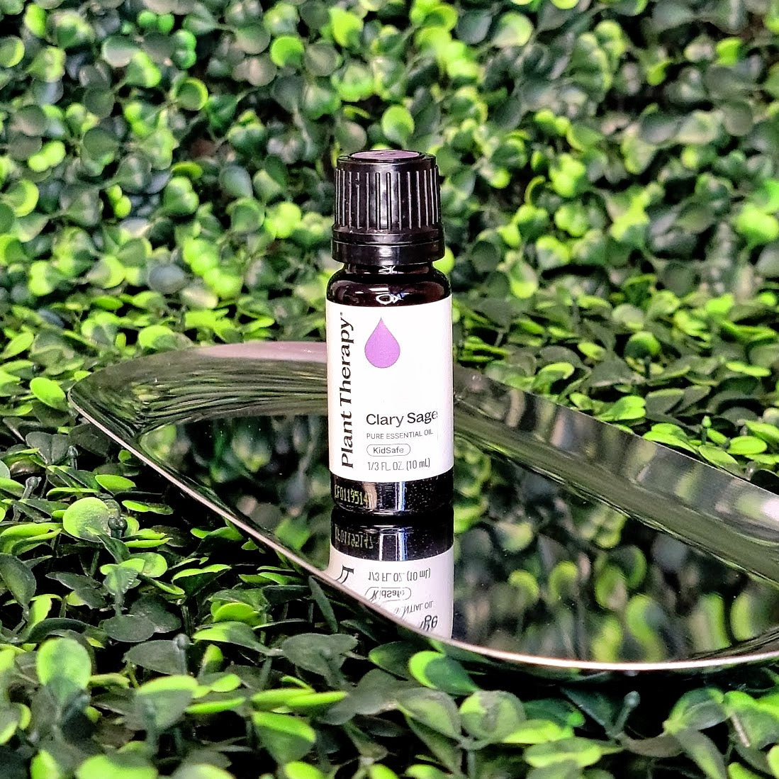 Clary Sage Essential Oil