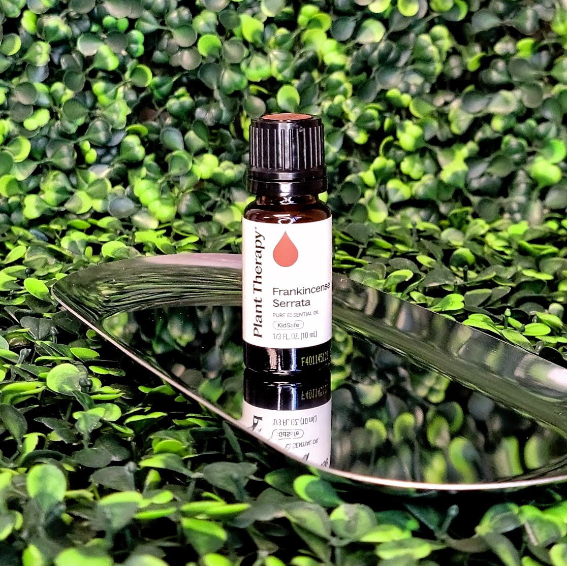 Frankincense Serrata Essential Oil