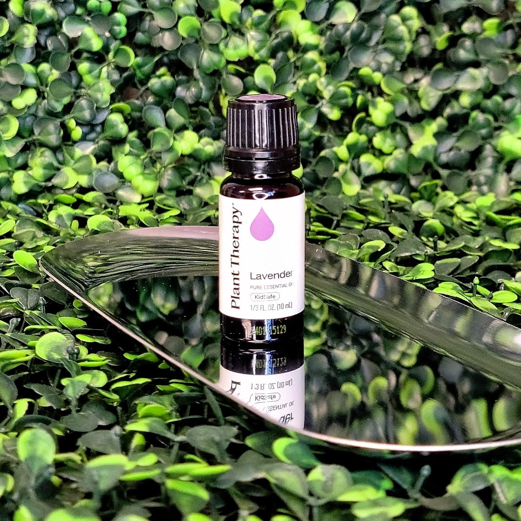 Lavender Essential Oil