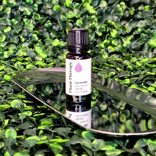 Lavender Essential Oil