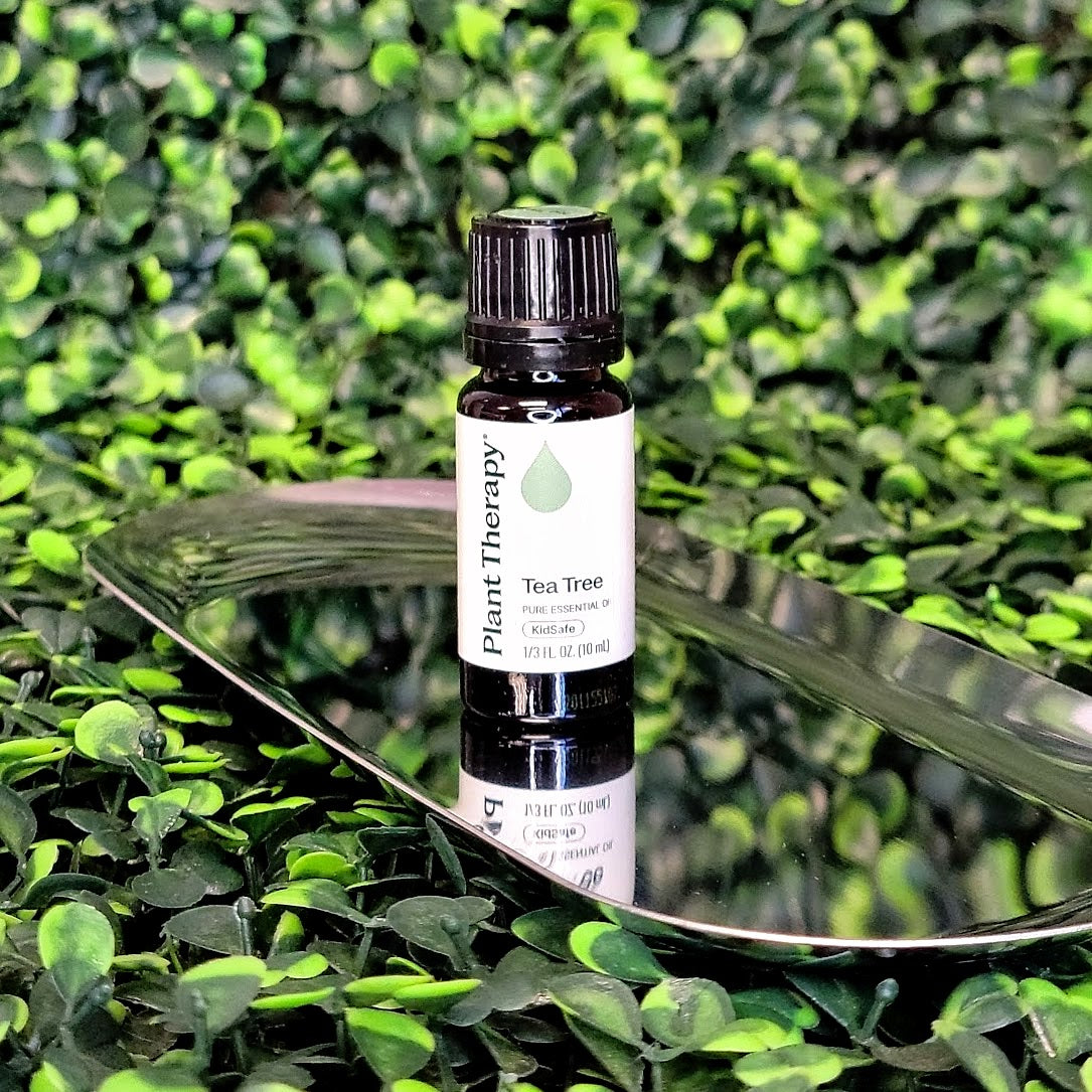 Tea Tree Essential Oil